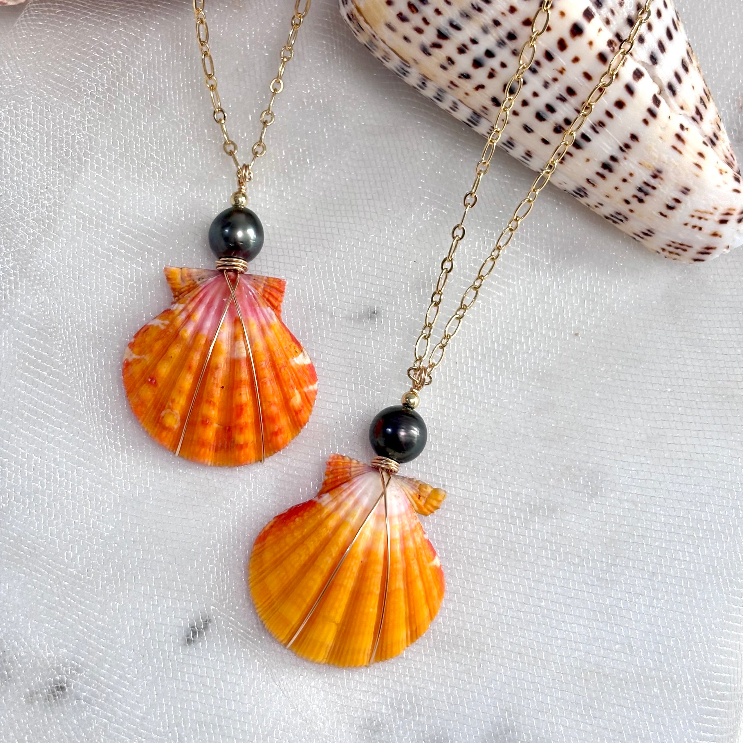 Sunrise shell jewelry