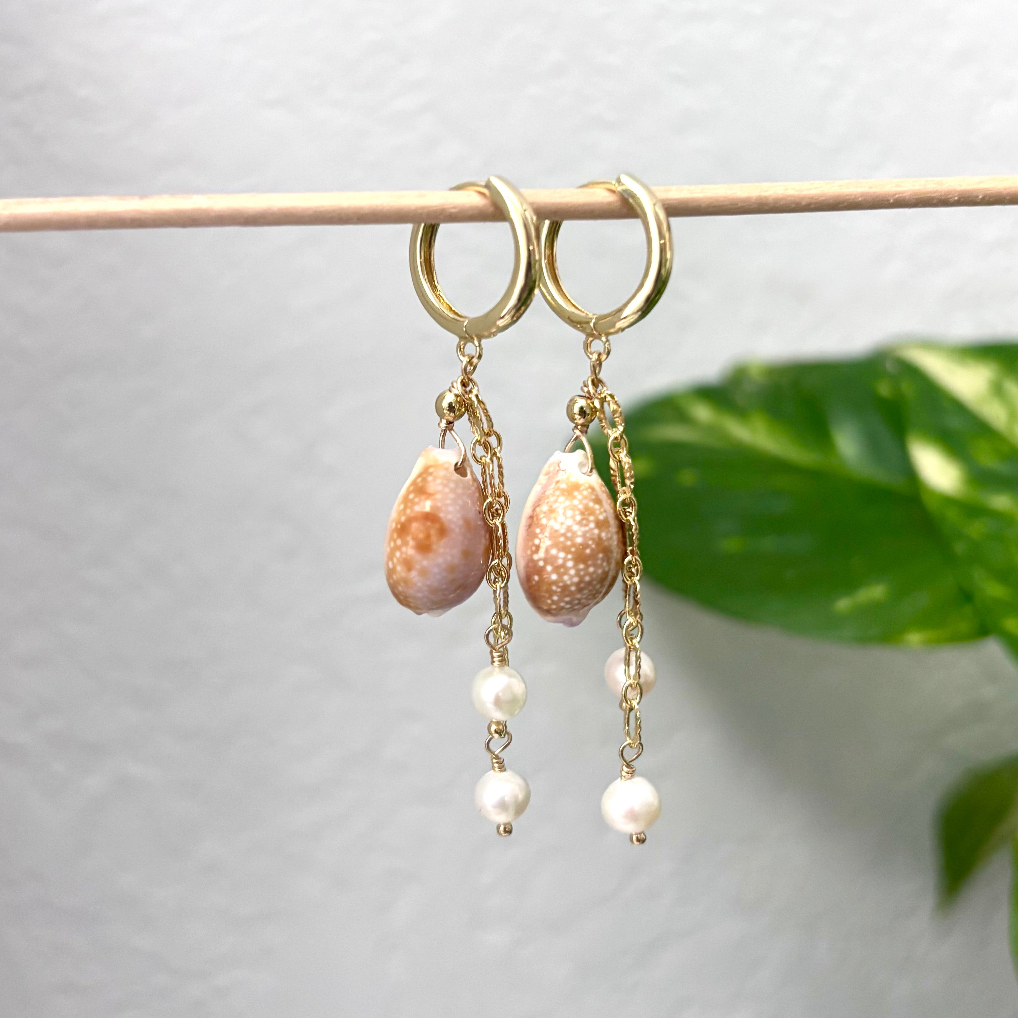Cowry shell Earrings w/ white pearls