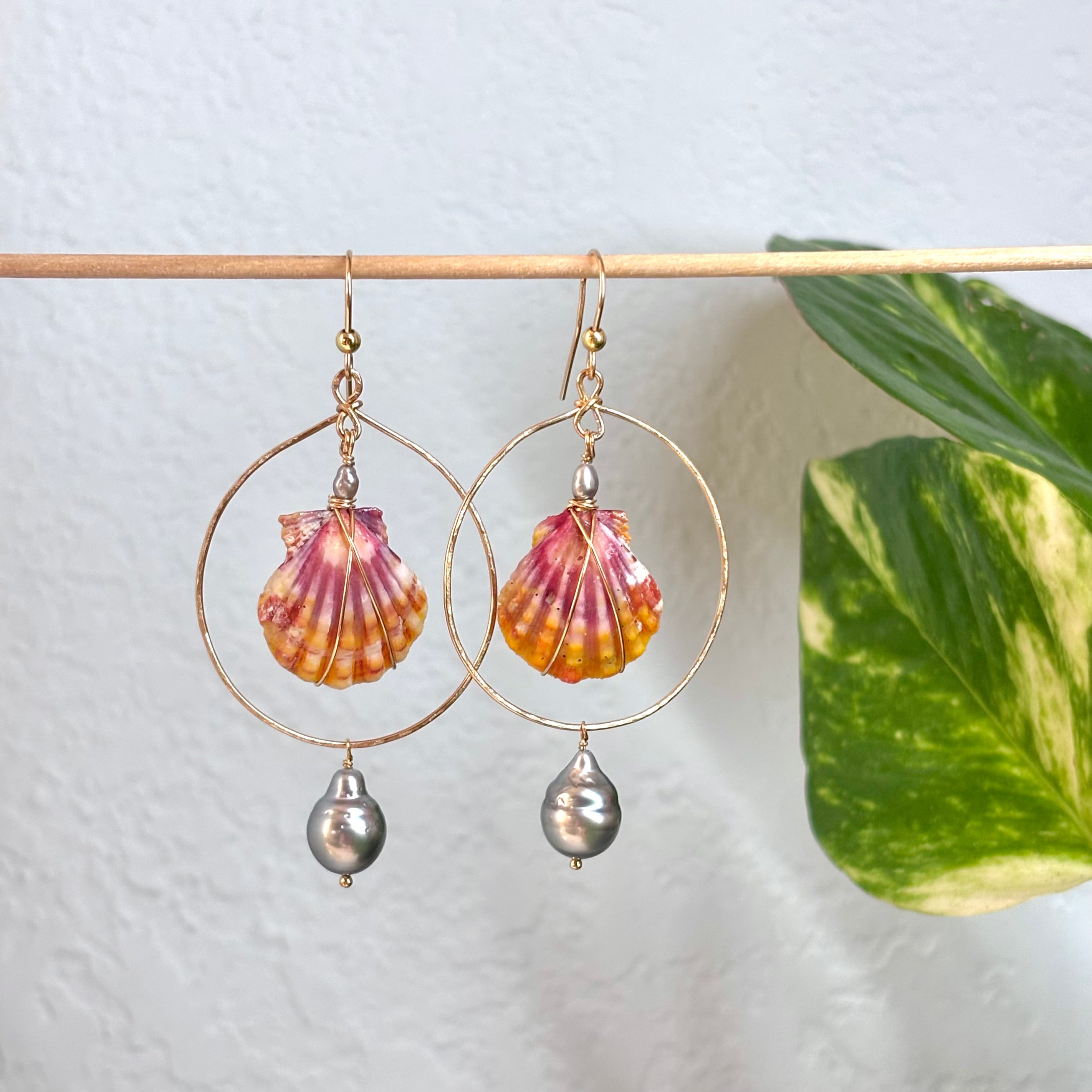 Hawaiian sunrise shell Earrings w/ Tahitian pearl