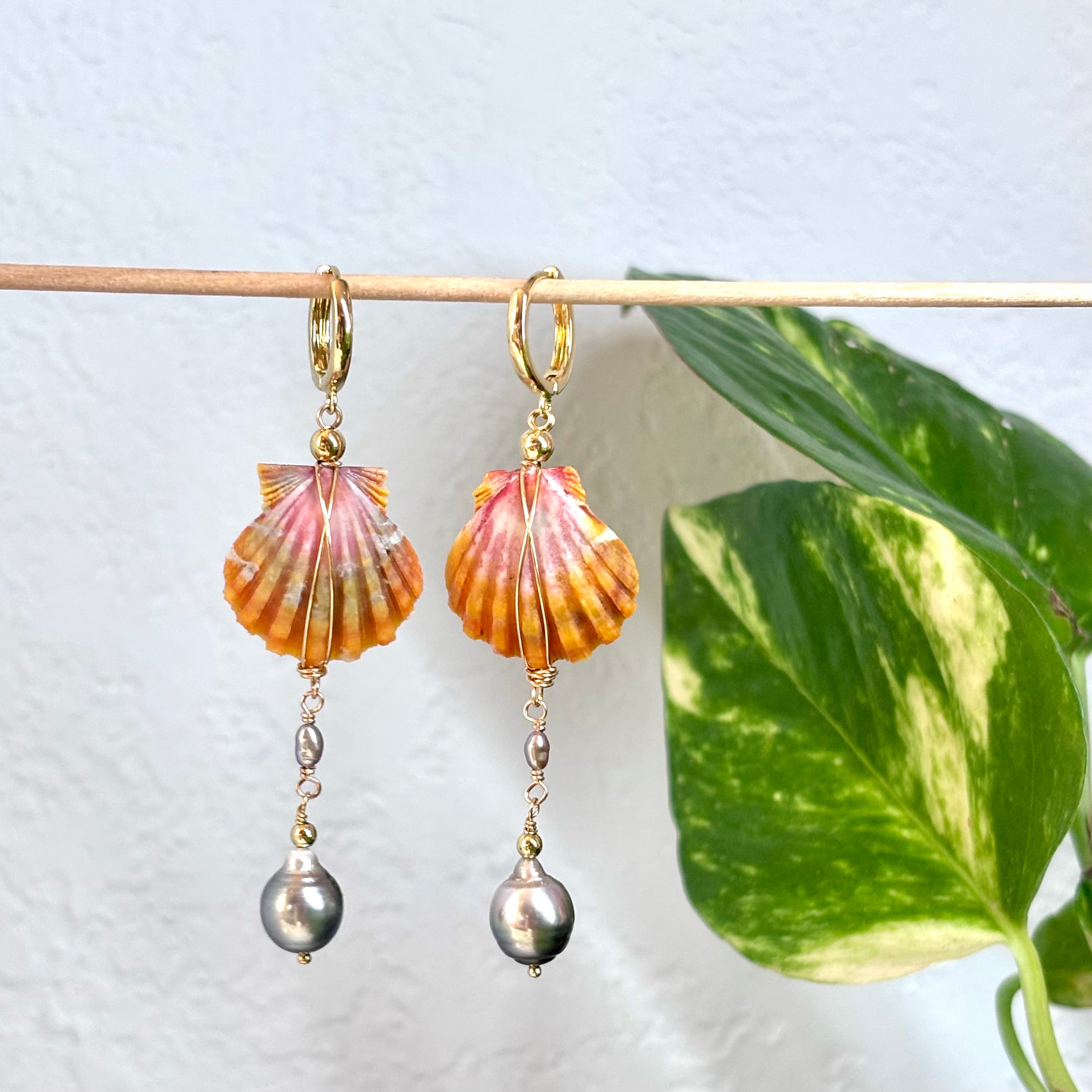 Hawaiian sunrise shell Earrings w/ Tahitian pearl