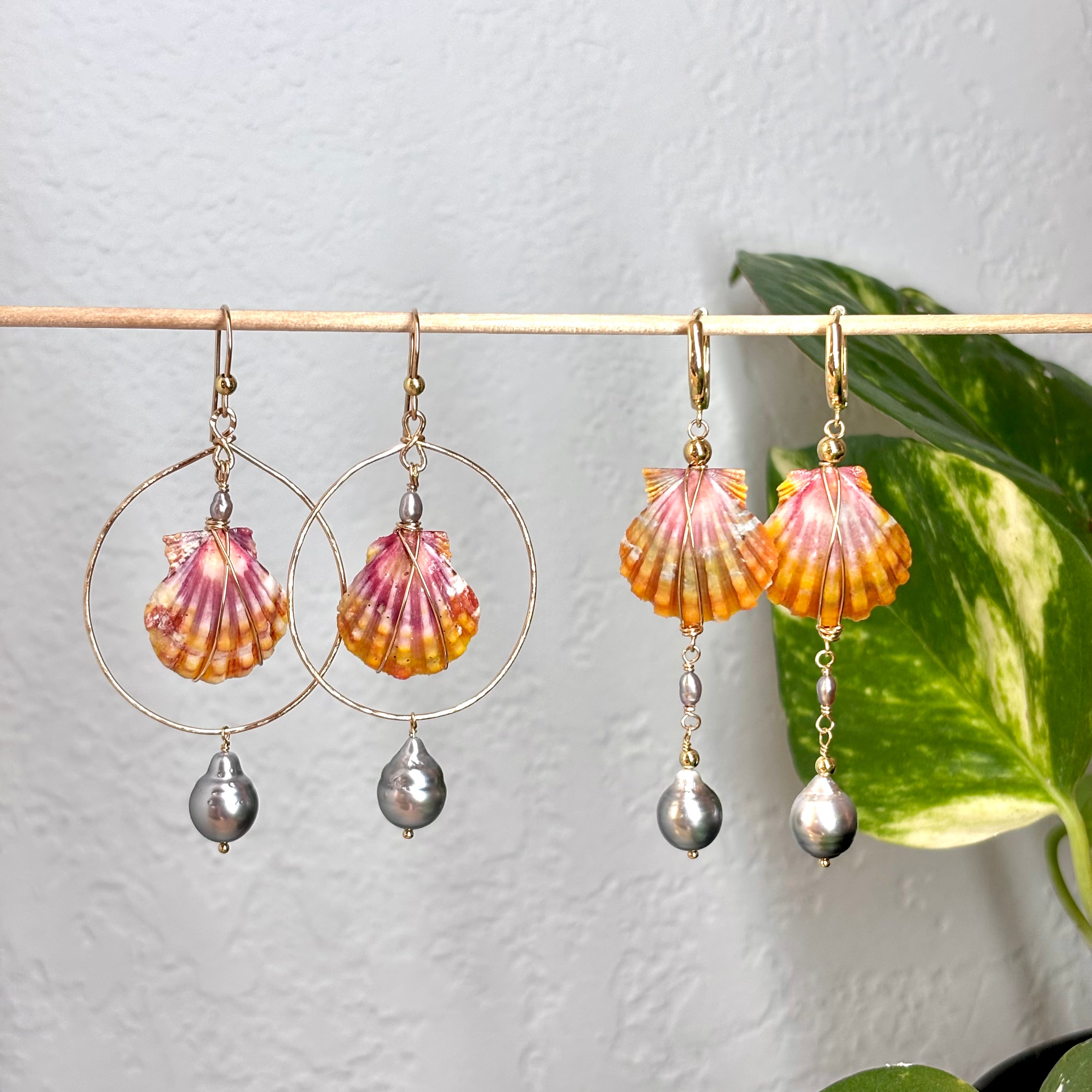 Hawaiian sunrise shell Earrings w/ Tahitian pearl